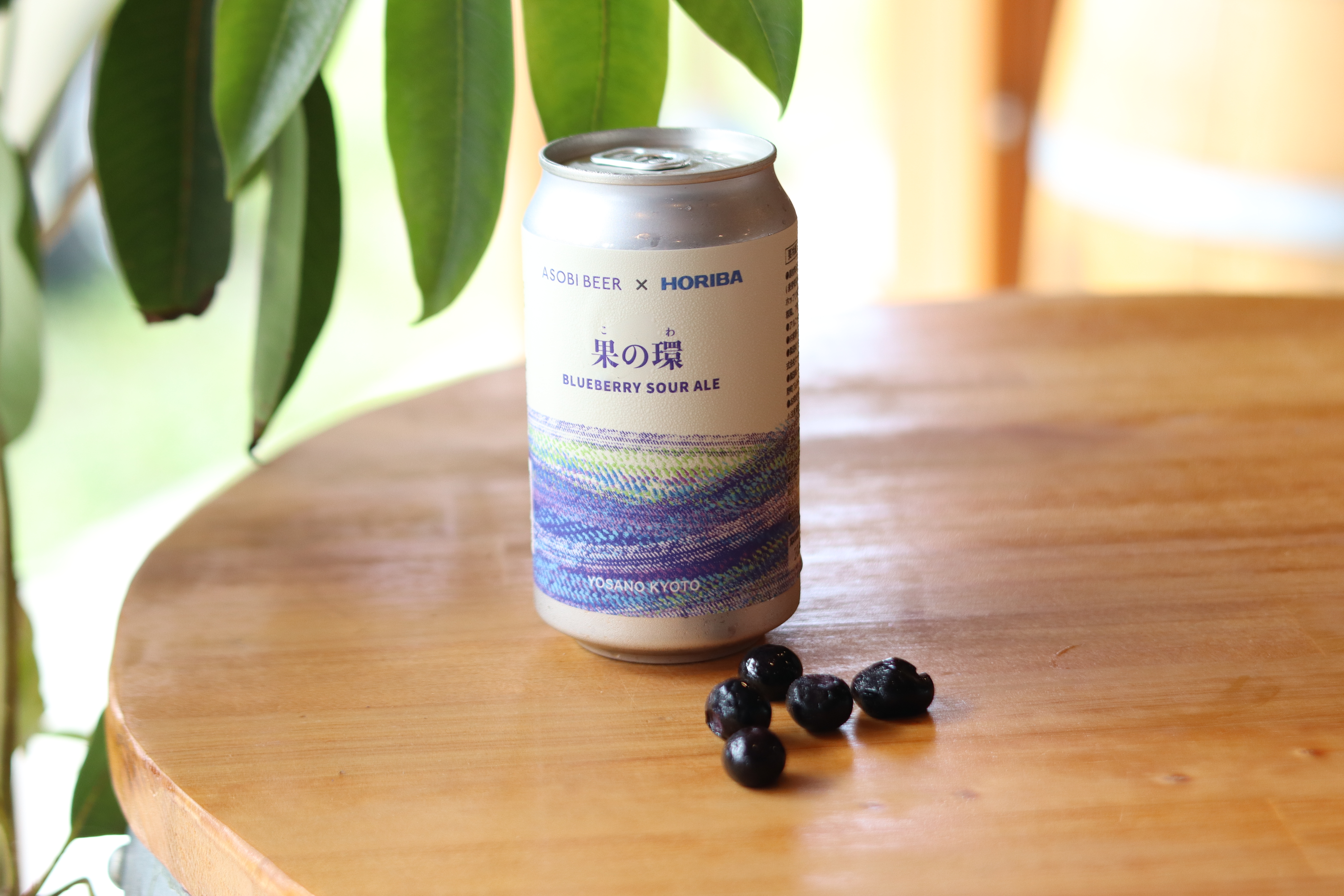 HORIBA Blueberryサワーエール 果の環　【6缶入】